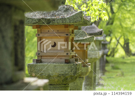 新緑の季節 談山神社 境内の石灯籠 新緑の季節 談山神社 境内の石灯籠 114394159