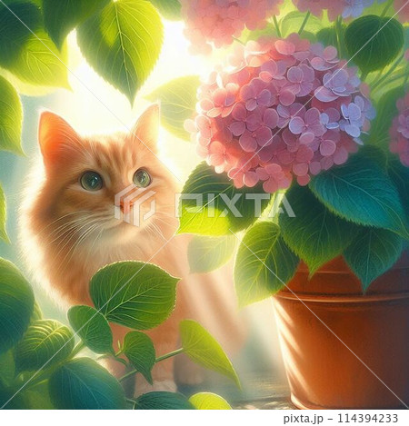アジサイと猫 114394233