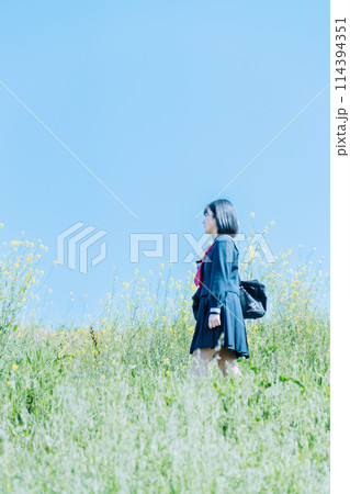 新学期を迎え通学路を登校する女子高生 114394351