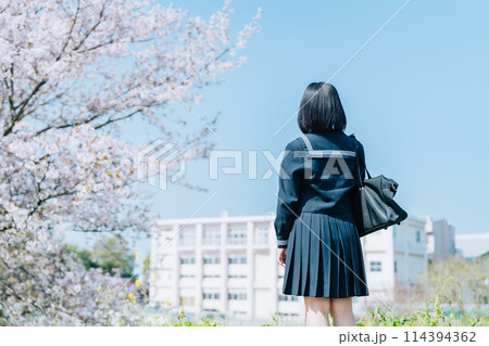 桜の咲く頃、未来を見つめる高校生の後ろ姿 桜の咲く頃、未来を見つめる高校生の後ろ姿 114394362