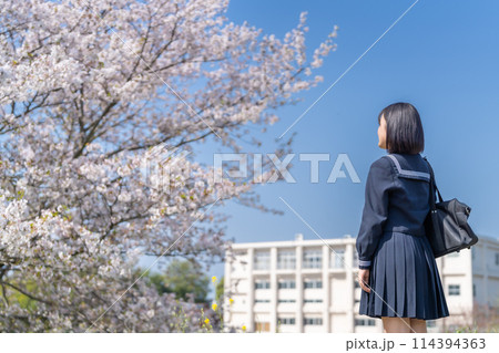 桜の咲く頃、未来を見つめる高校生の後ろ姿　 114394363