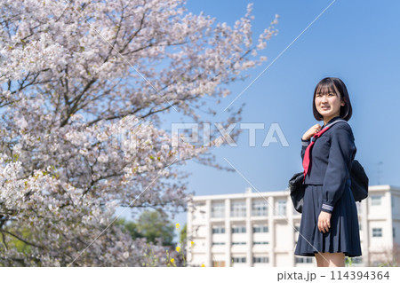 桜の咲く頃、未来を見つめる高校生 114394364