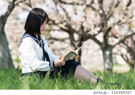 桜の木下で読書をする高校生　 114394387