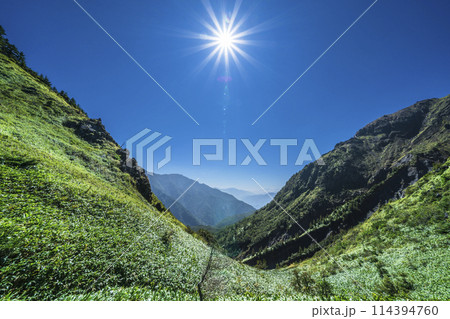 夏の焼岳（硫黄岳）　熊笹に覆われた登山道【長野県・上高地ルート】 114394760