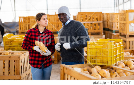 Two farmers discusses work issues, holding pumpkins 114394797