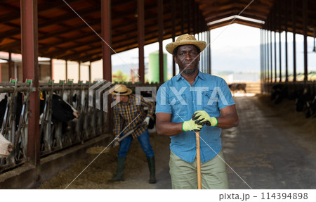 African farmer posing at the cow farm African farmer posing at the cow farm 114394898