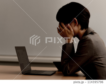 ビジネスパーソン:ビジネスシーン ビジネスパーソン:ビジネスシーン 114395796