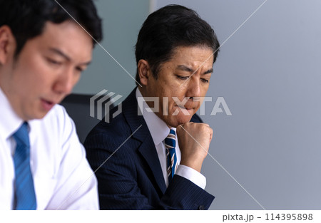 ビジネスパーソン：ビジネスシーン 114395898