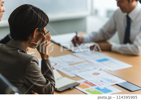 会議をするビジネスパーソン:ビジネスシーン 会議をするビジネスパーソン:ビジネスシーン 114395905