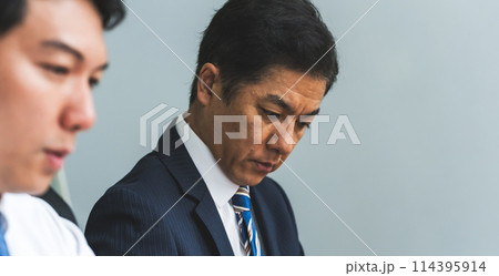 会議をするビジネスパーソン:ビジネスシーン 会議をするビジネスパーソン:ビジネスシーン 114395914