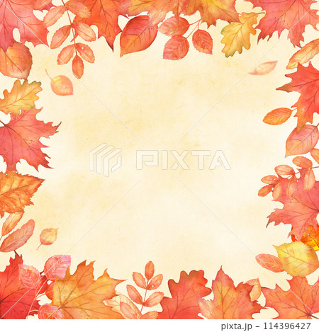 Square fall frame with red leaves. Autumn...のイラスト素材 [114396427] - PIXTA