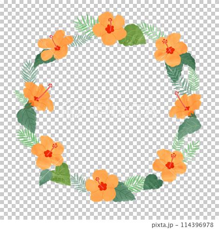 Hand drawn hibiscus round frame illustration 114396978
