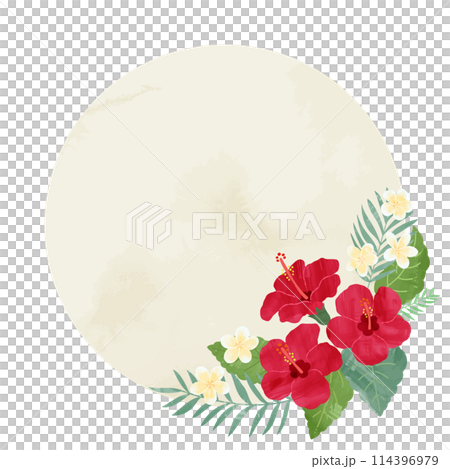 Hand drawn hibiscus round frame illustration 114396979