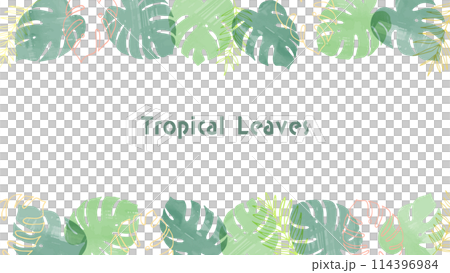 手繪熱帶植物框架圖 手繪熱帶植物框架圖 114396984