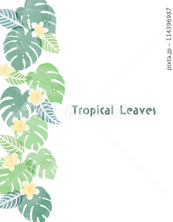 手描きの南国の植物とプルメリアのフレームイラスト 手描きの南国の植物とプルメリアのフレームイラスト 114396987
