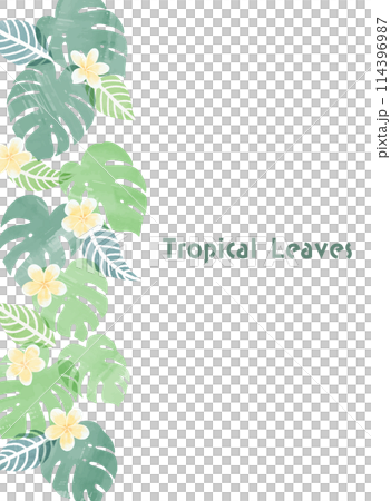 手描きの南国の植物とプルメリアのフレームイラスト 手描きの南国の植物とプルメリアのフレームイラスト 114396987