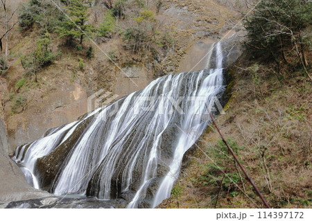 冬の袋田の滝 冬の袋田の滝 114397172
