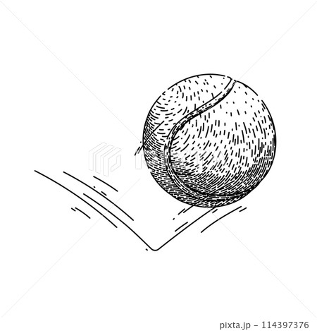 isolated tennis ball sketch hand drawn vector isolated tennis ball sketch hand drawn vector 114397376