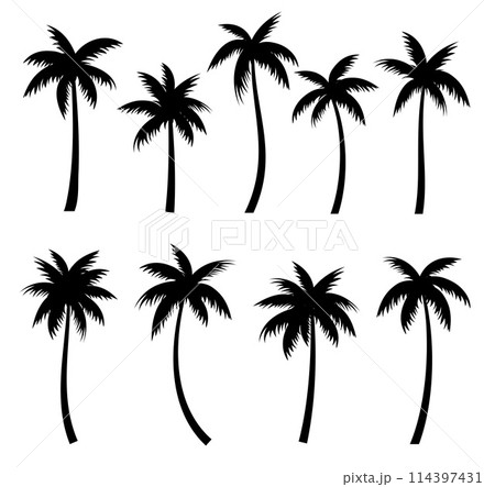 Palm trees silhouettes summer set. Palm trees isolated on white background. 114397431