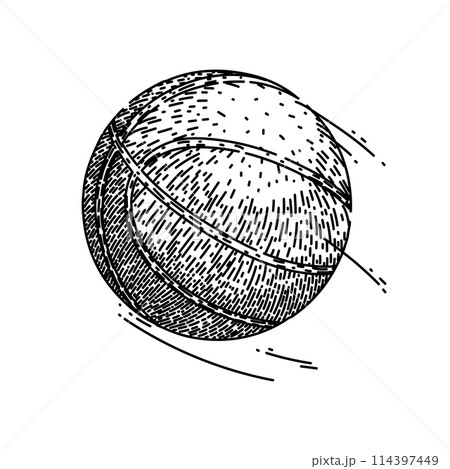 orange basketball ball sketch hand drawn vector orange basketball ball sketch hand drawn vector 114397449