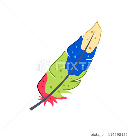 nature feather exotic bird cartoon vector illustration 114398123
