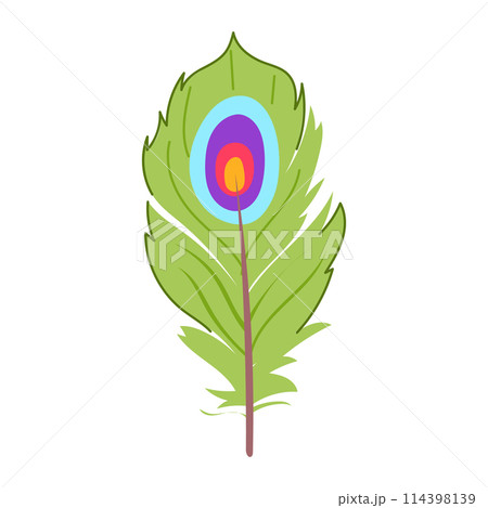 drawing feather exotic bird cartoon vector illustration 114398139