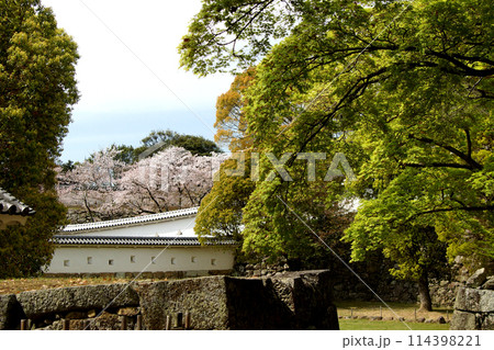 日本の城 姫路城 満開の桜に彩られた春の景観 日本の城 姫路城 満開の桜に彩られた春の景観 114398221