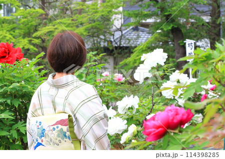 西新井大師　牡丹園　（足立区西新井）　　　 114398285