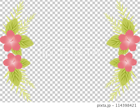 Hibiscus illustration frame 114398421
