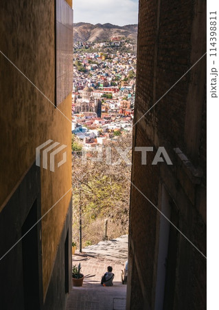 メキシコのストリートフード メキシコのストリートフード 114398811