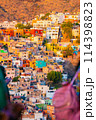 メキシコのストリートフード 114398823