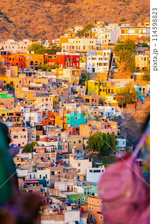 メキシコのストリートフード メキシコのストリートフード 114398823