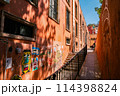 メキシコのストリートフード 114398824