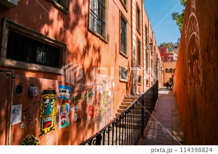 メキシコのストリートフード 114398824