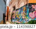 メキシコのストリートフード 114398827