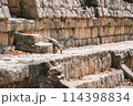 メキシコのストリートフード 114398834