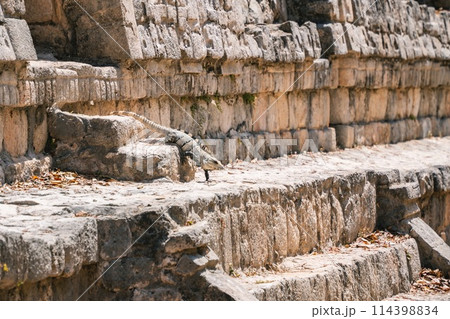 メキシコのストリートフード メキシコのストリートフード 114398834