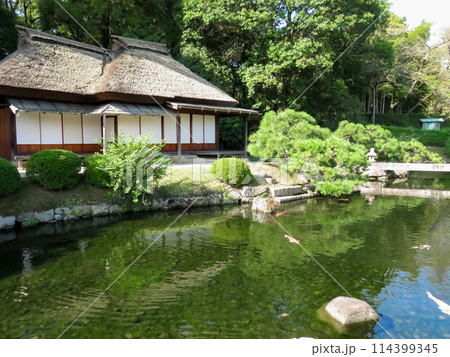 岡山後楽園の亭舎 廉池軒と池の風景 114399345