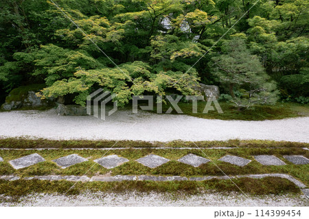 新緑に囲まれた庭園 新緑に囲まれた庭園 114399454