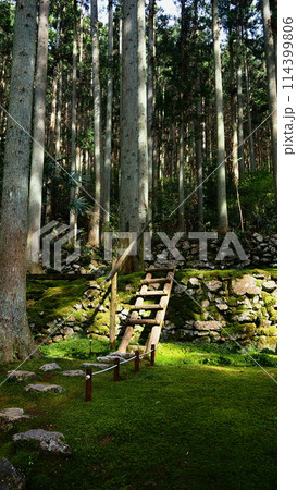 苔庭のはしご道 苔庭のはしご道 114399806