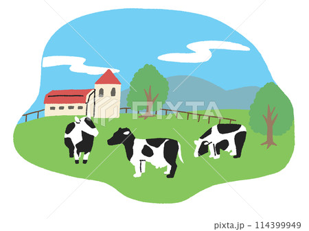 牧場で放牧される牛の風景 114399949