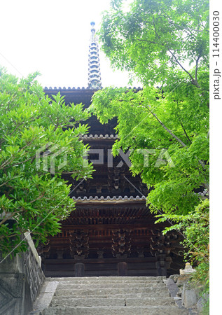 尾道天寧寺海雲塔を参道より見上げる 114400030