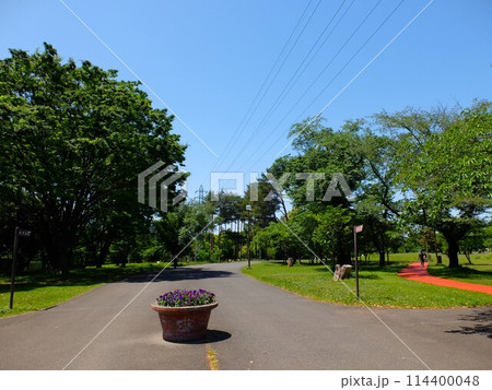 初夏の埼玉県和光樹林公園 初夏の埼玉県和光樹林公園 114400048