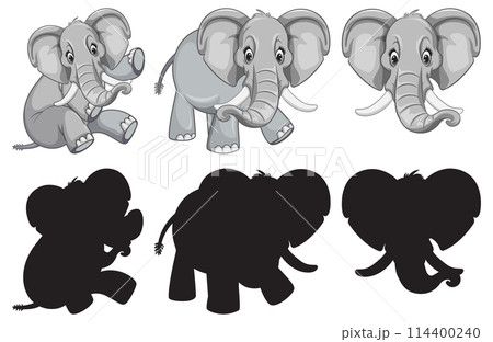 Elephant Family Vector Illustrations Set 114400240