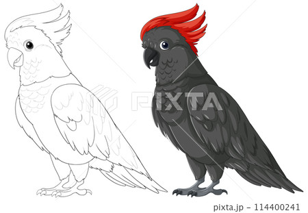 Colorful and Monochrome Cockatoo Illustrations 114400241