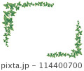 アイビーのフレーム_ヨコ_白01 114400700