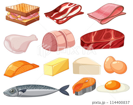 Assorted Protein Foods Vector Illustration Assorted Protein Foods Vector Illustration 114400837