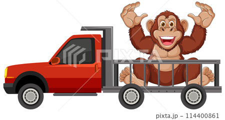 Happy Monkey Riding in Pickup Truck 114400861
