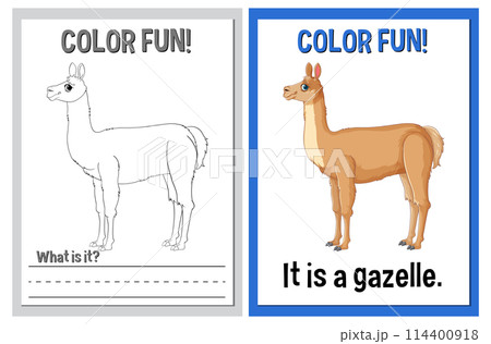 Color Fun! Educational Animal Illustrations 114400918