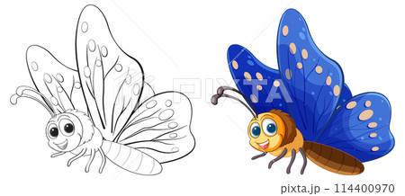 Colorful Butterfly Vector Illustration 114400970